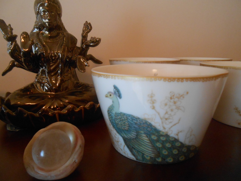 glorious beauty peacock